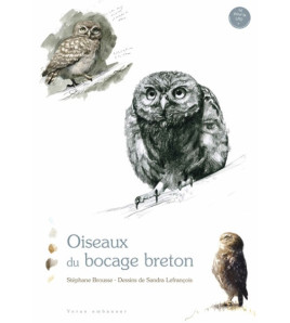Oiseaux du bocage breton,...