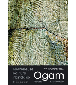 Ogam mystérieuse écriture...